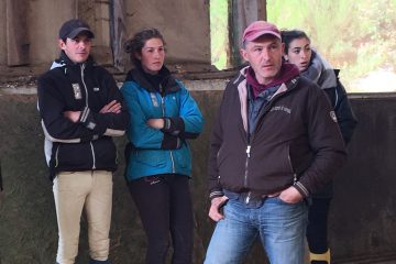 Des éleveurs attentifs à l'évolution de leurs jeunes chevaux