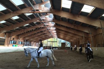 Présentation par les élèves des chevaux débourrés